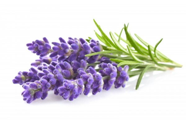 Luxusní polštář MPO Lavender Natur